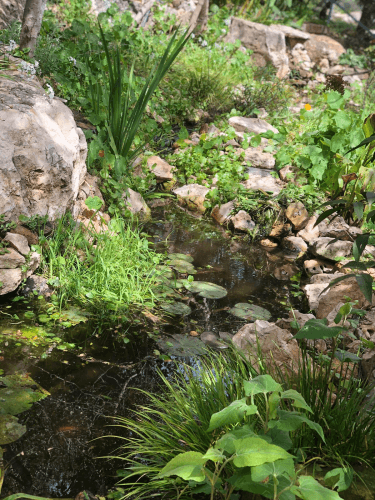 עיצוב גינה 5